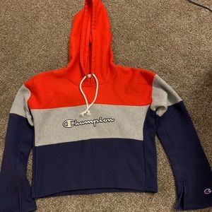Champion long sleeve crop top sweater